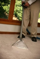 Carpet Cleaning Services